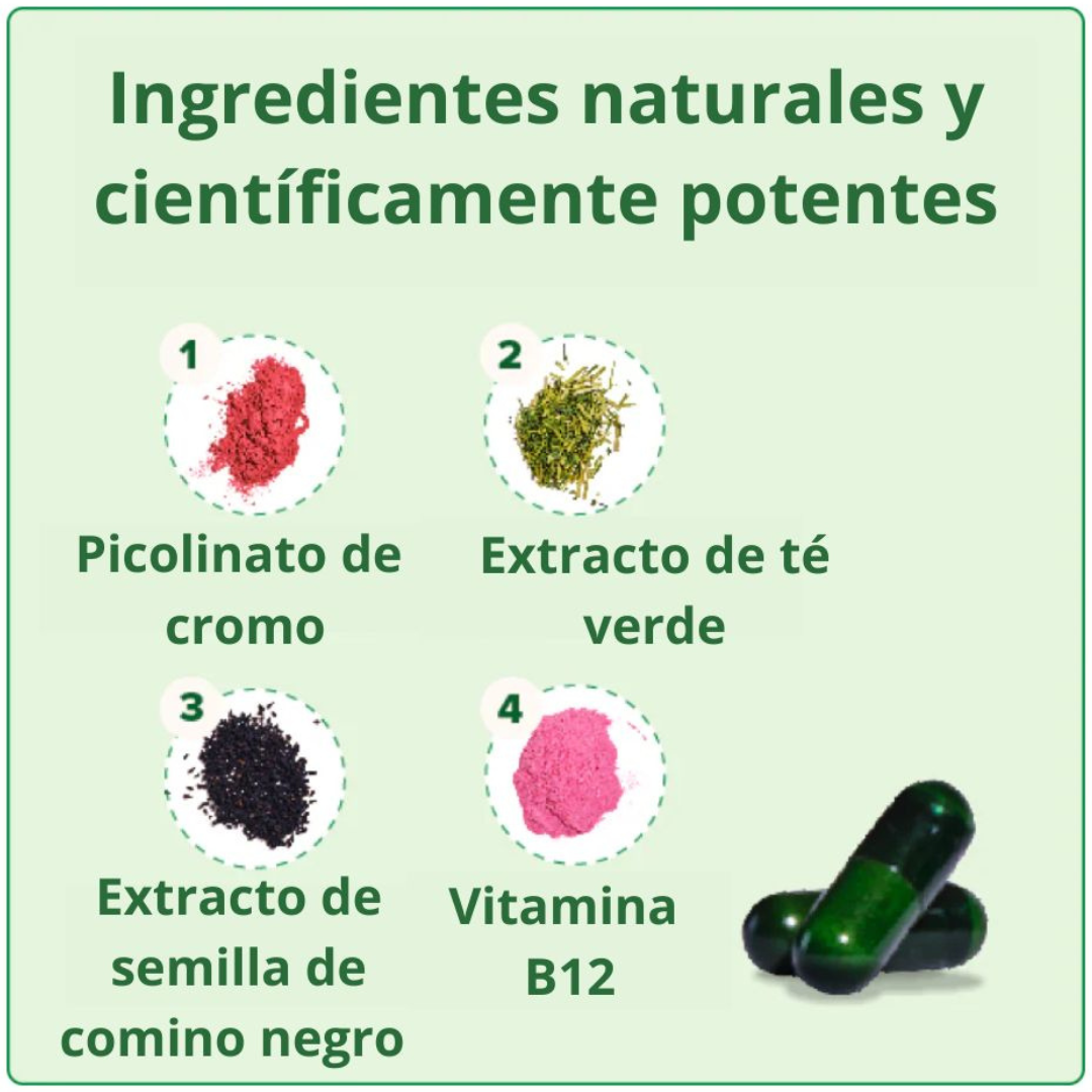 Aceleran el metabolismo con MOTO®