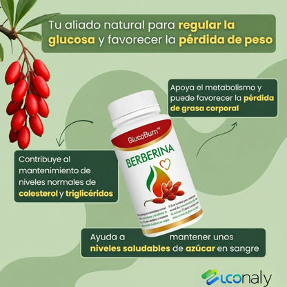 🔥 GlucoBurn™ ¡El fin de la frustración! Pierde por fin esos kilos rebeldes.