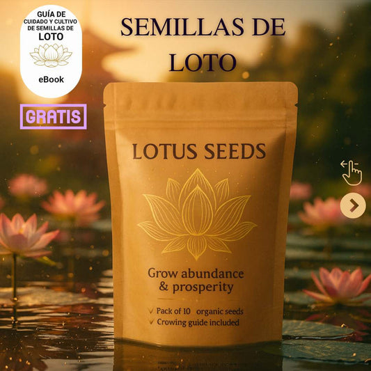 Semillas de Loto Lotus Seeds®-Todo florece cuando tu energía está en armonía… incluso tú