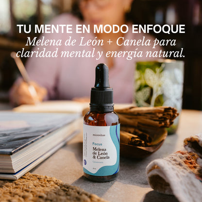 Focus | Extracto de Melena de León