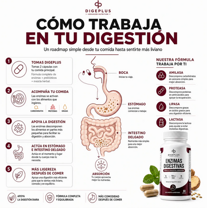 DigePlus® Enzimas Digestivas