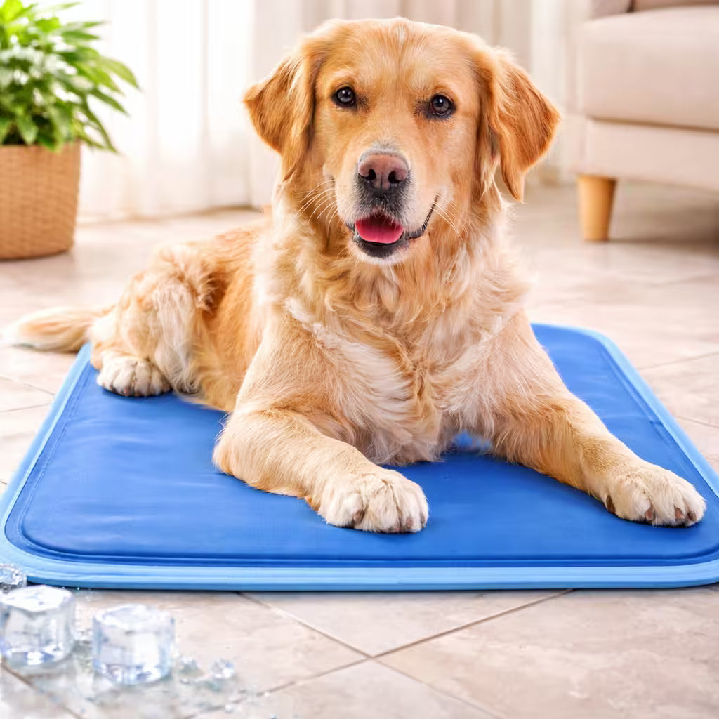 Alfombra auto-refrigerante para perros y gatos - Cuida a tus mascotas del calor intenso del verano