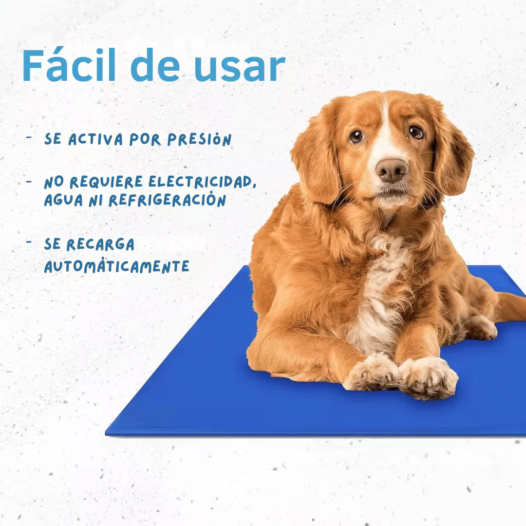 Alfombra auto-refrigerante para perros y gatos - Cuida a tus mascotas del calor intenso del verano