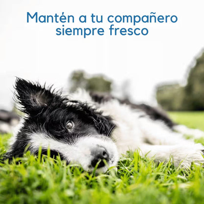 Alfombra auto-refrigerante para perros y gatos - Cuida a tus mascotas del calor intenso del verano